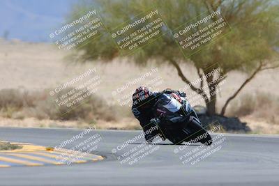 media/May-12-2024-SoCal Trackdays (Sun) [[ad755dc1f9]]/10-Turn 4 Tree of Life (1120am)/